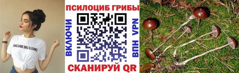 Галлюциногенные грибы Magic Shrooms Новосокольники
